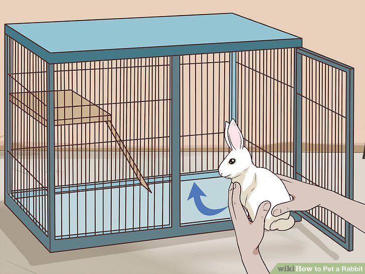 Step 10