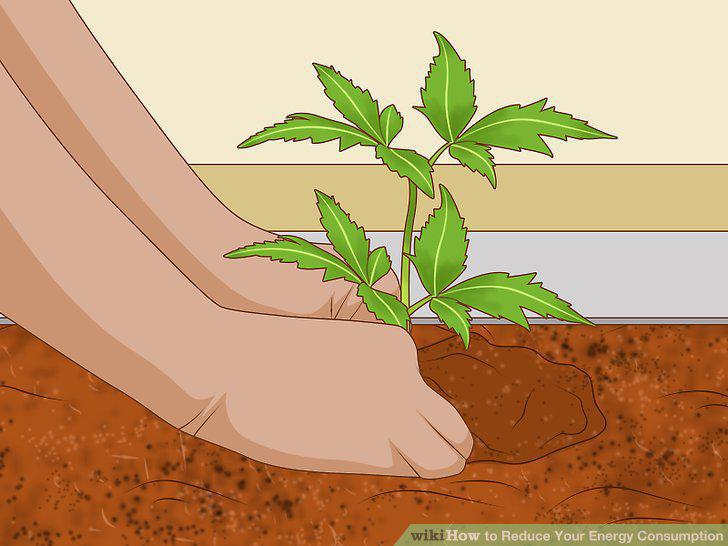 Step 21