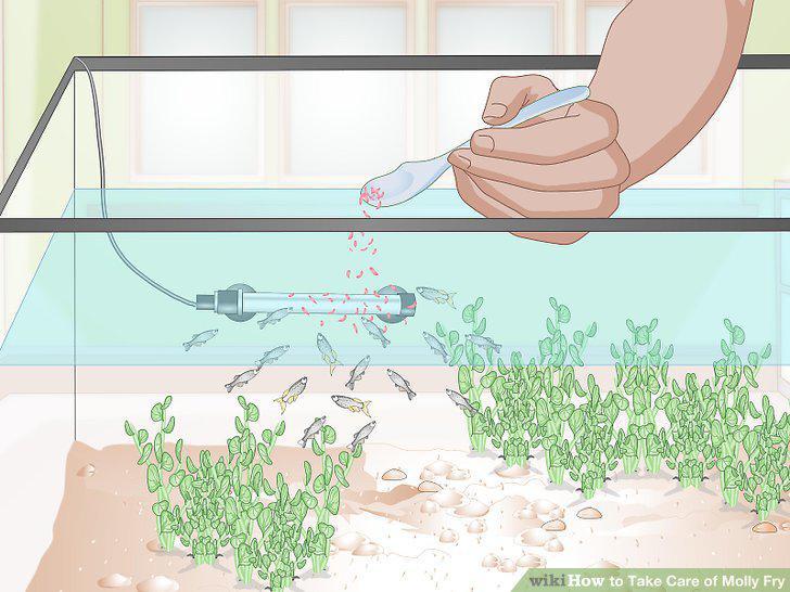 Step 11