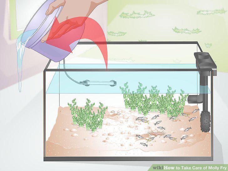 Step 12