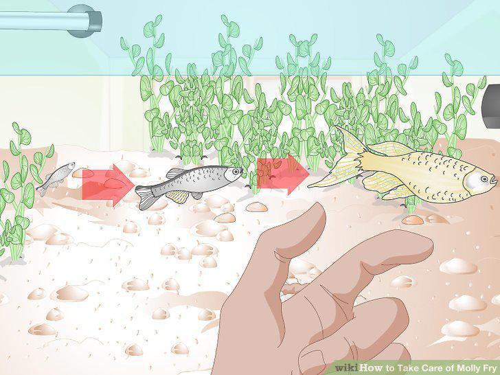 Step 13