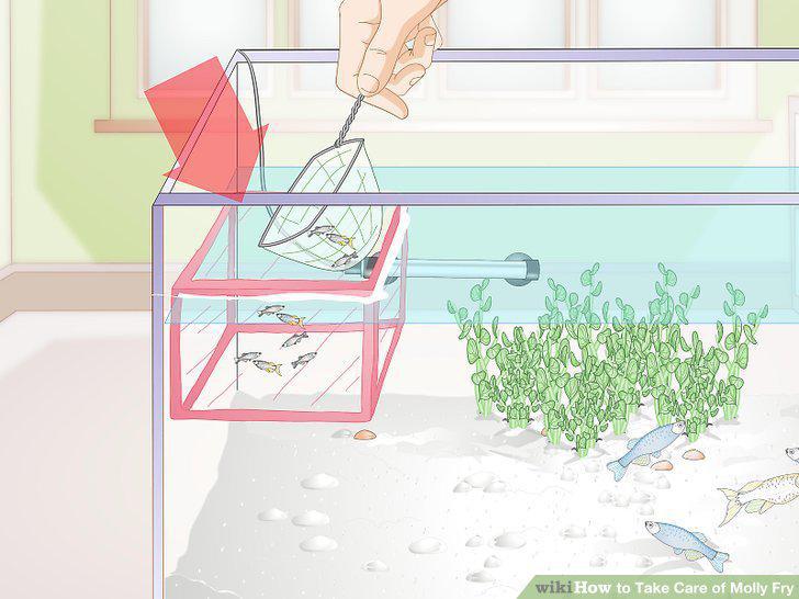 Step 15
