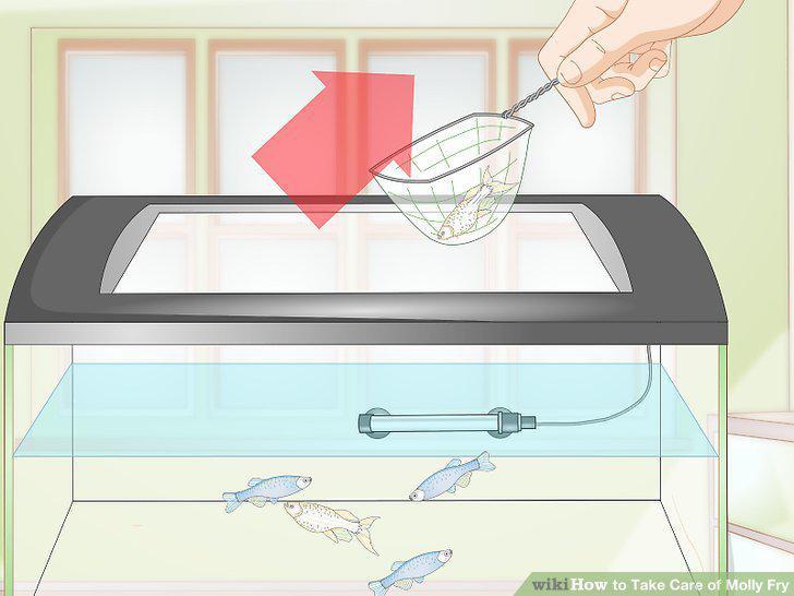 Step 6
