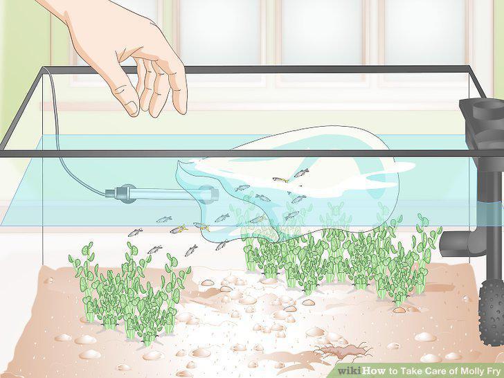Step 9