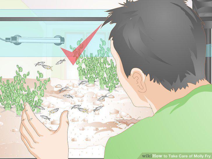 Step 10