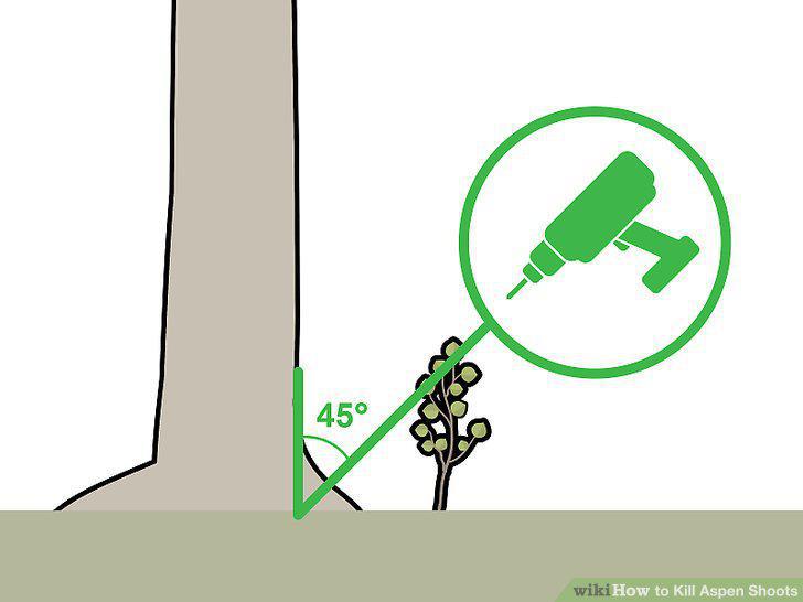 Step 3