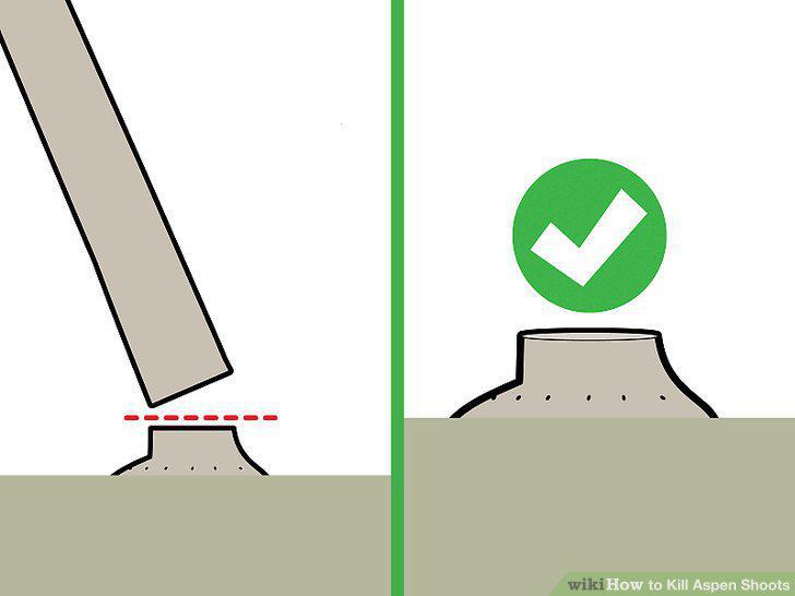 Step 6