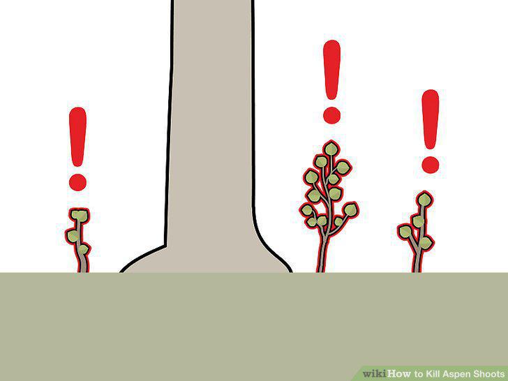 Step 7