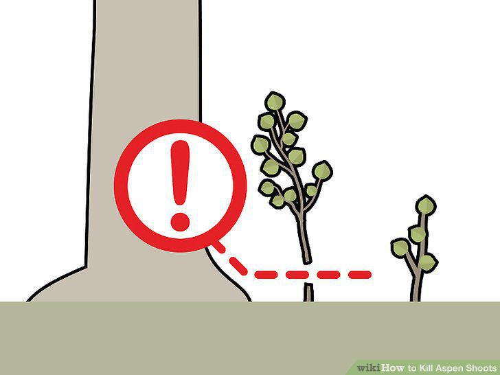 Step 8