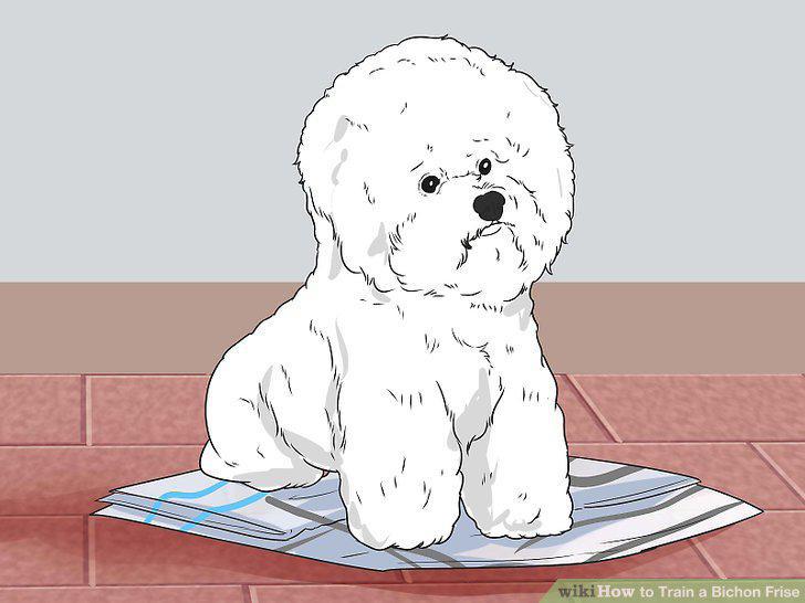 Step 4
