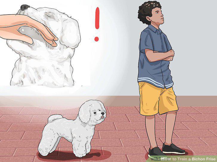 Step 5