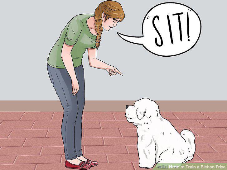 Step 8