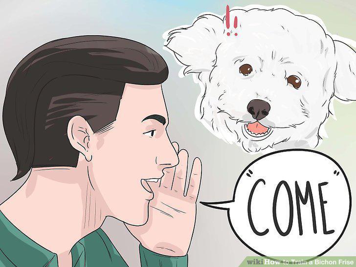 Step 9