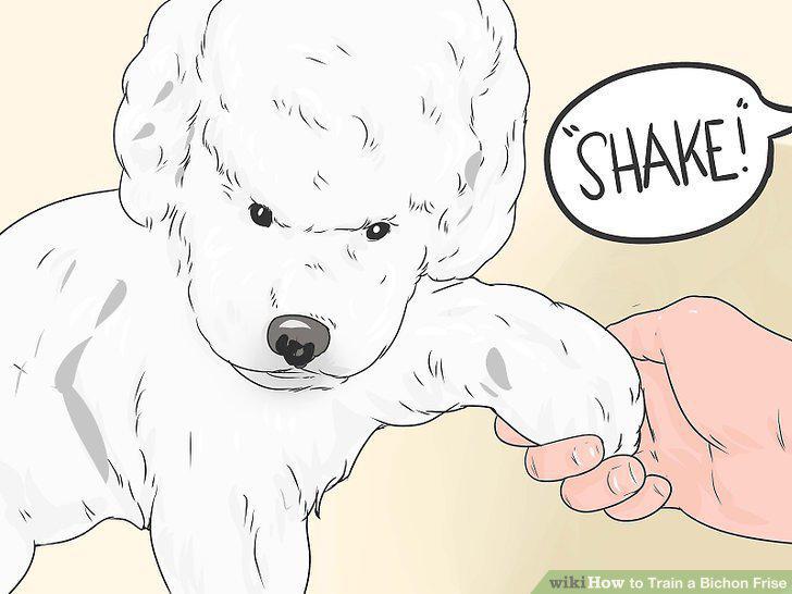 Step 10