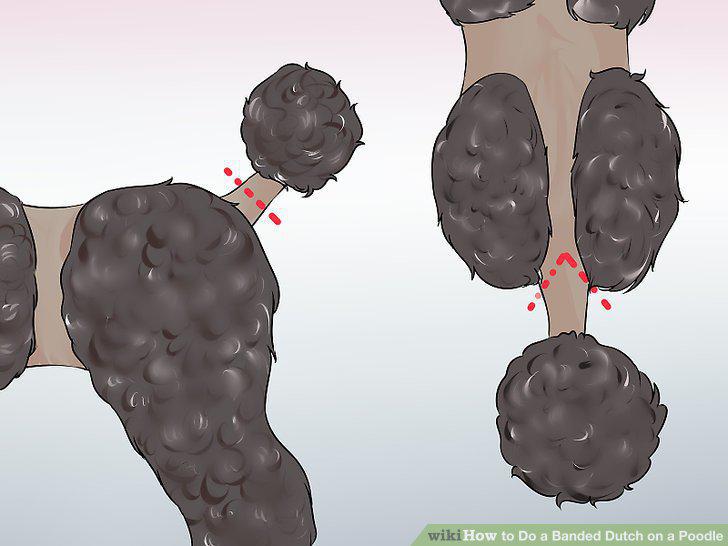 Step 11