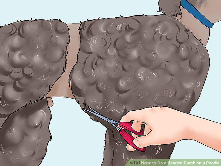Step 12