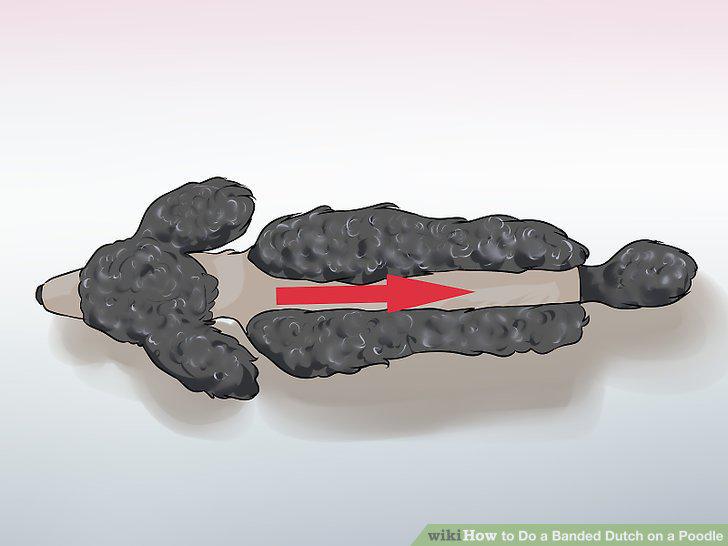 Step 6