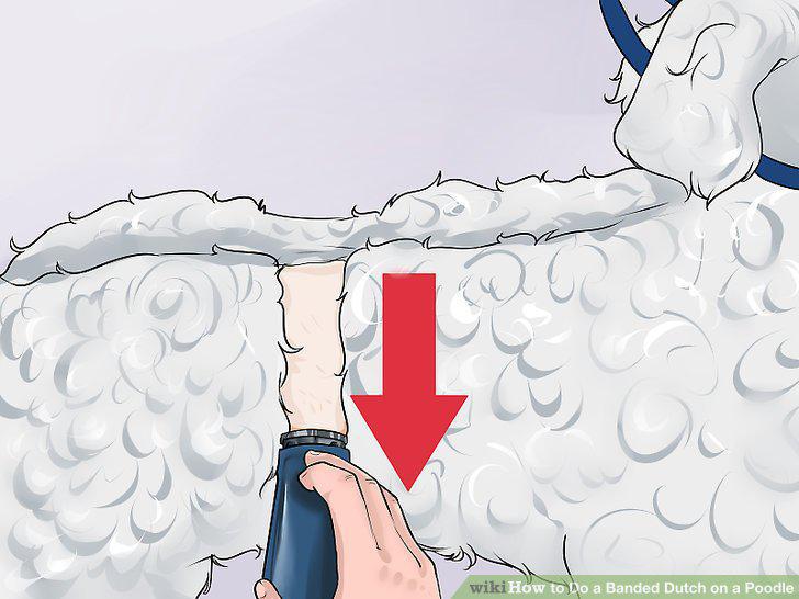 Step 7