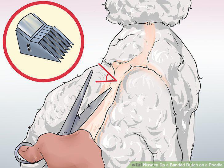 Step 9
