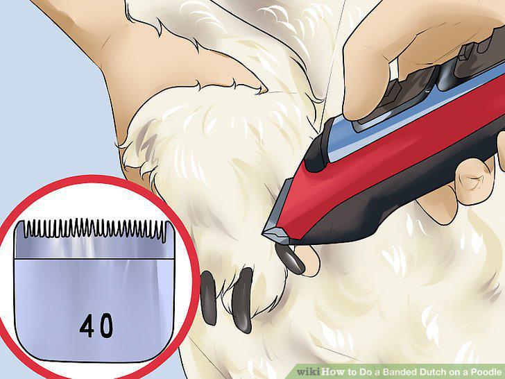 Step 10