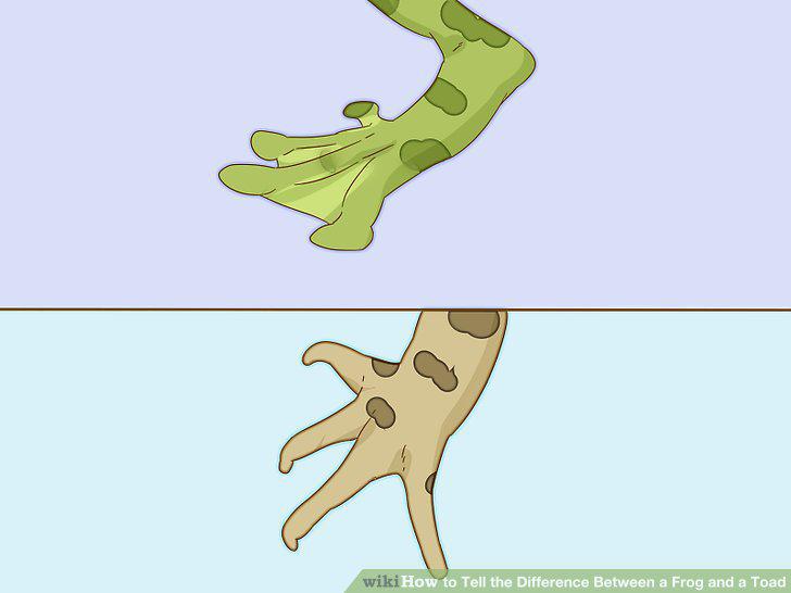 Step 2