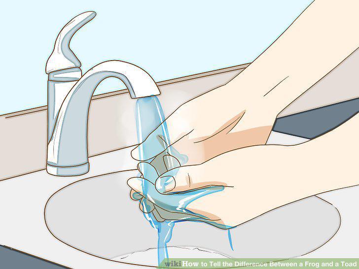 Step 11