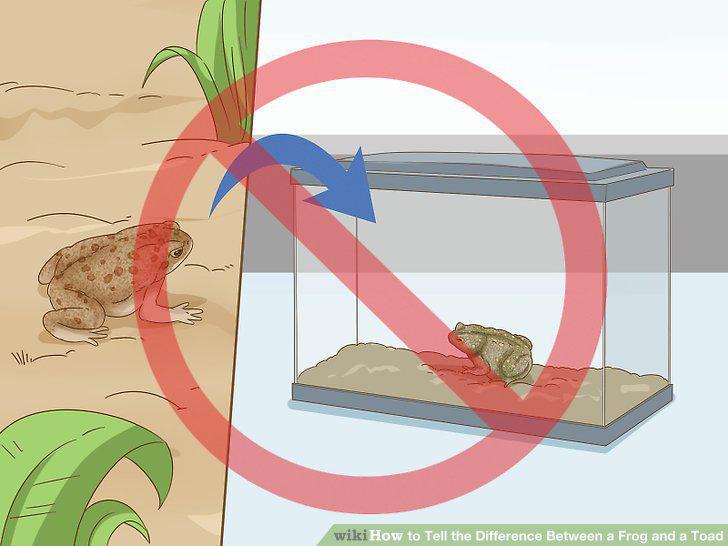 Step 12