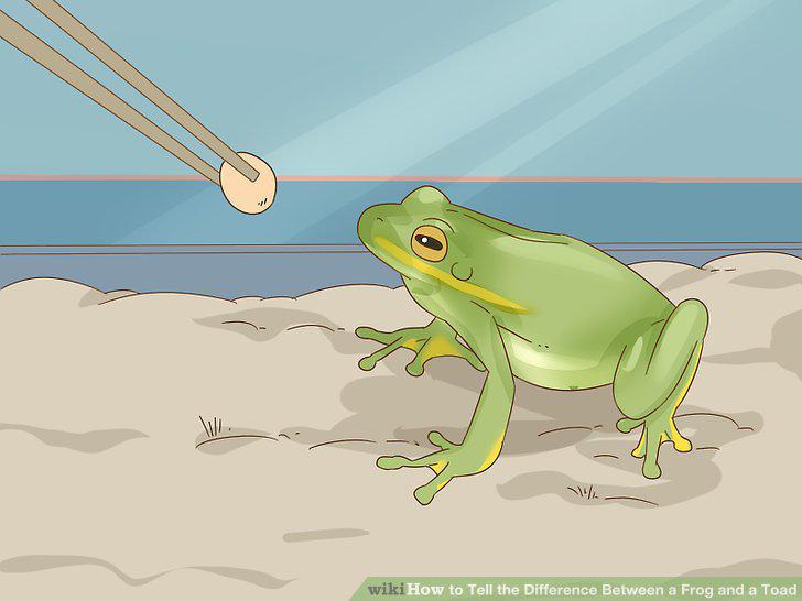 Step 13