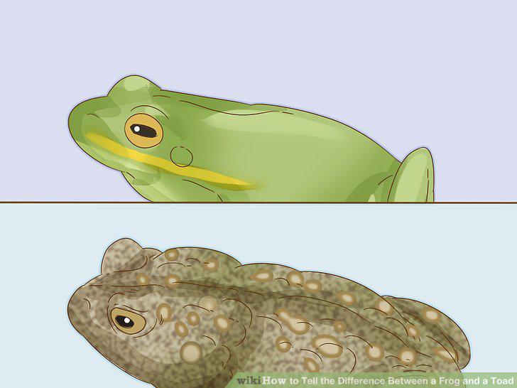 Step 4