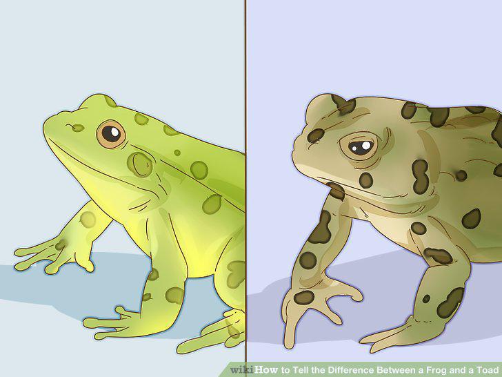 Step 5