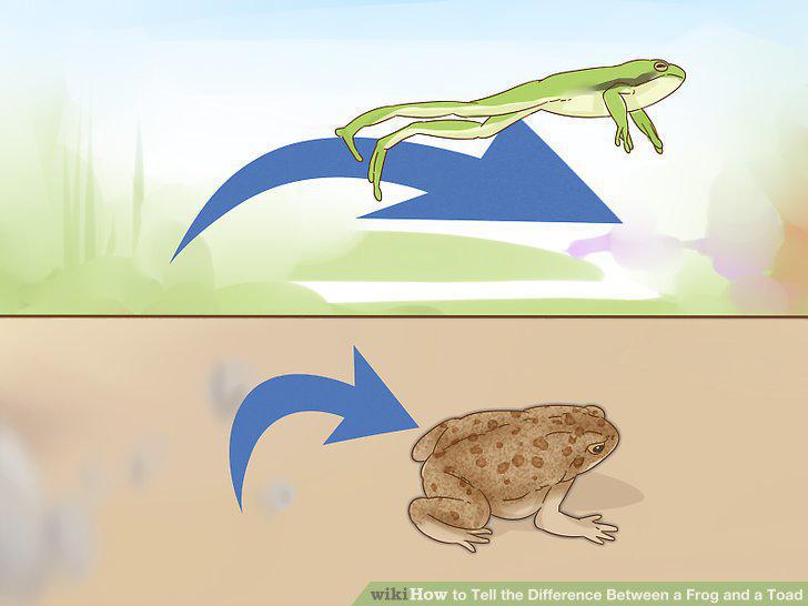 Step 6