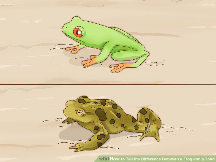 Step 7