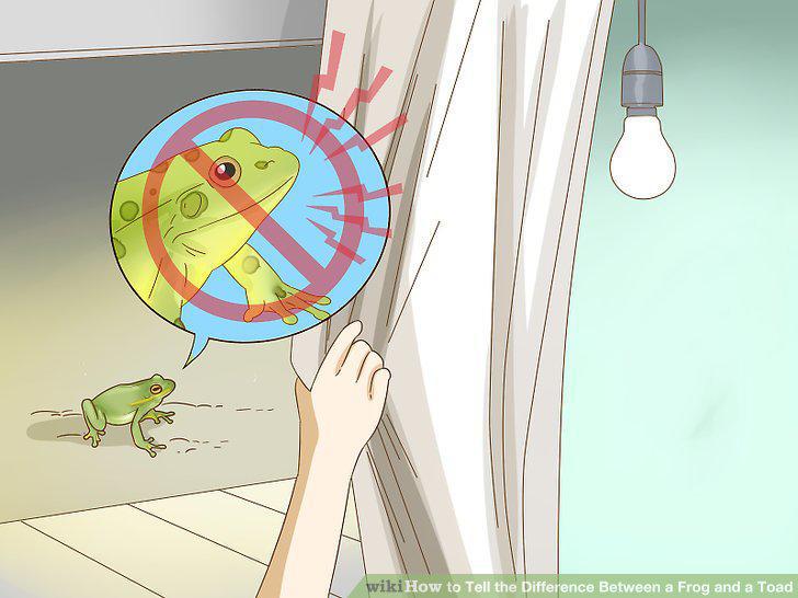 Step 9
