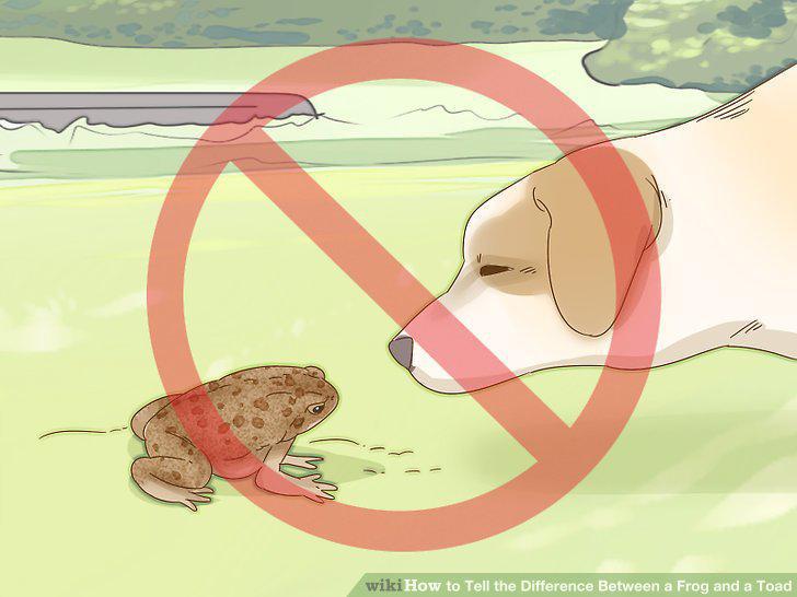 Step 10