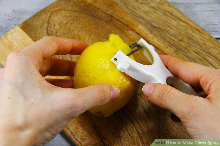 Step 12