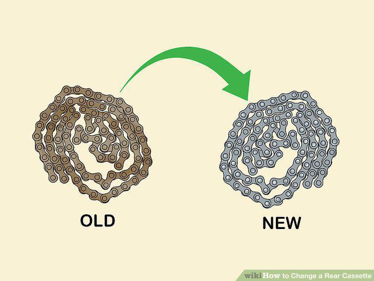 Step 15