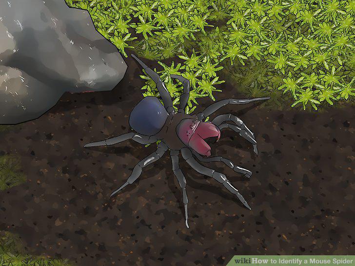 Step 10