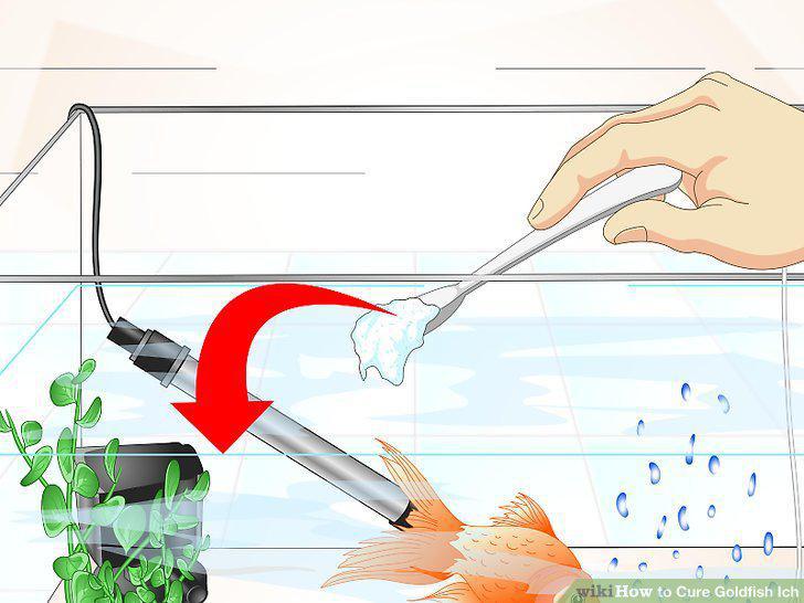 Step 12