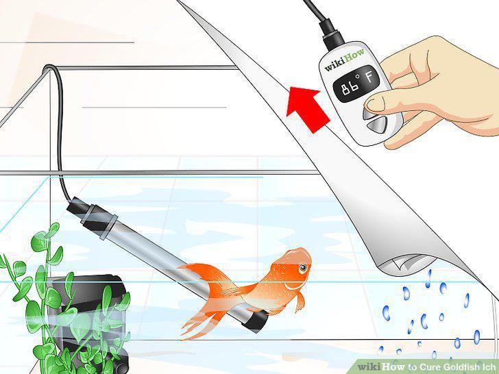 Step 10