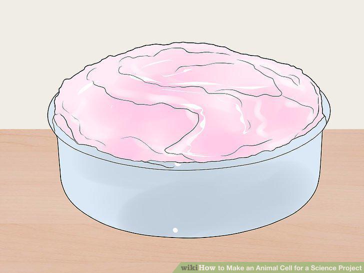 Step 11