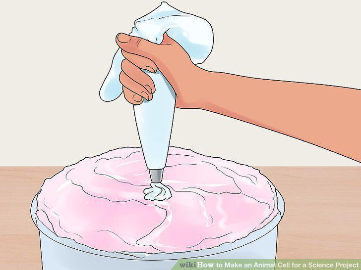 Step 12