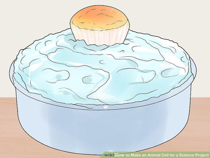 Step 13