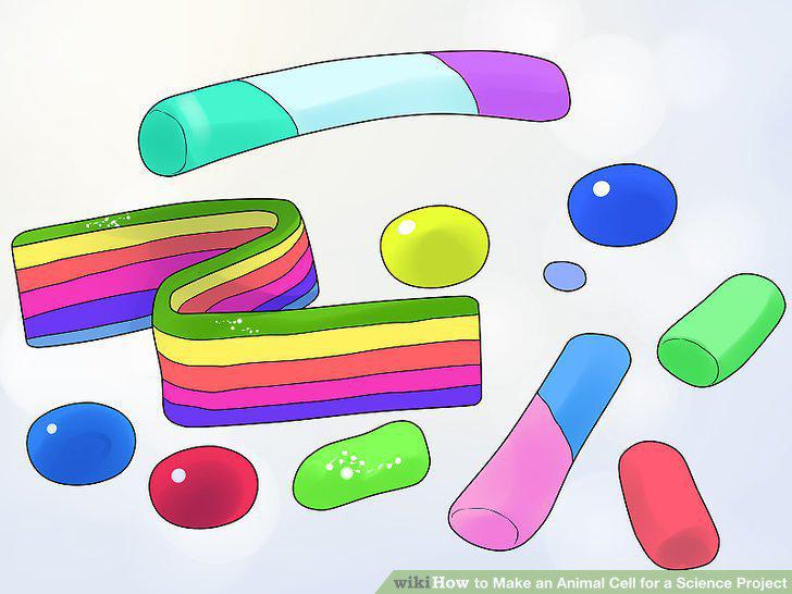 Step 14