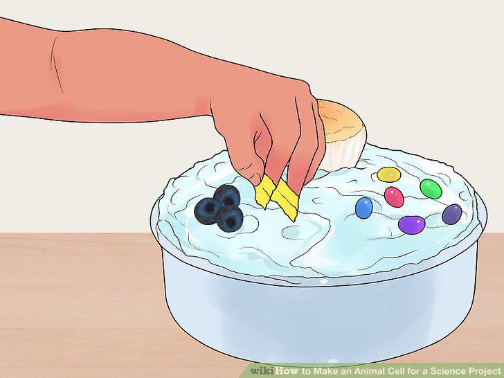 Step 15