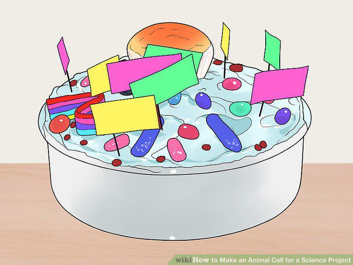 Step 16