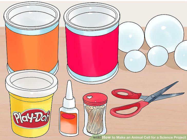 Step 17