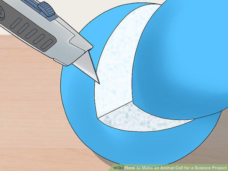Step 19