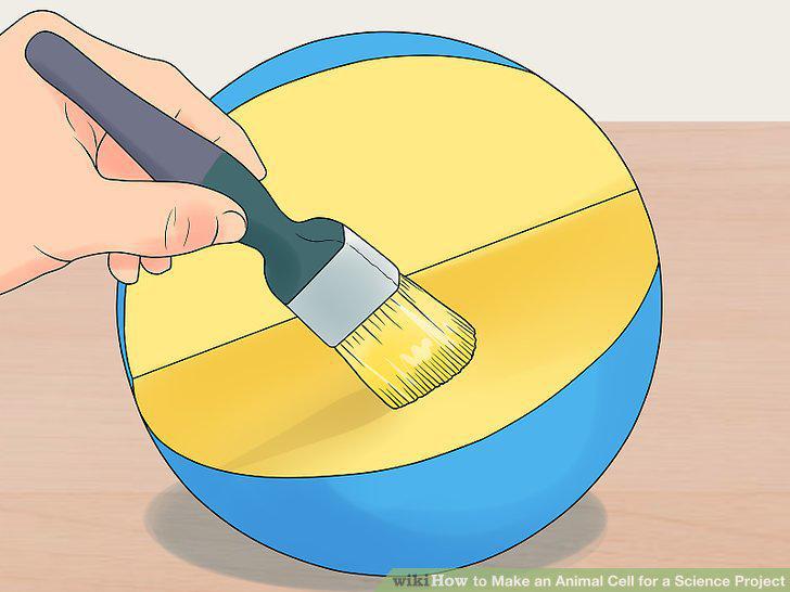 Step 20