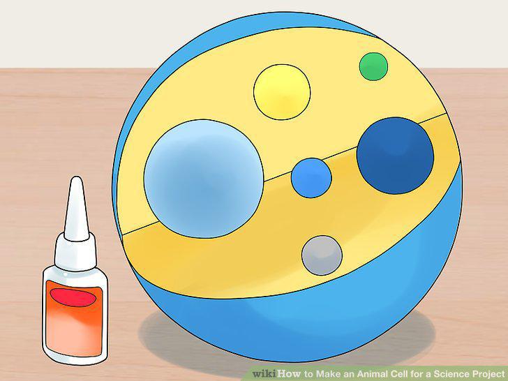 Step 21