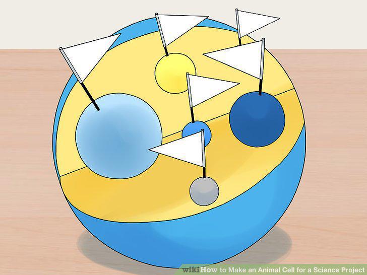 Step 22